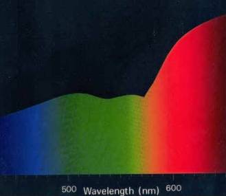 Moon Light Frequencies 
