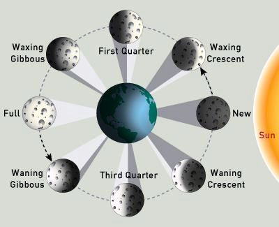 Phases of the moon, full moon, new moon